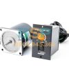 Động cơ Oriental 2TK3GN-CW2 - 1