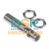 Cảm biến tiệm cận Telemecanique XS112B3NAM12 - 1
